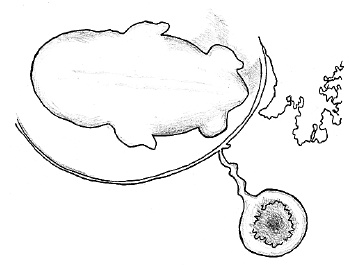 Иллюстрация к книге — Счастливое материнство. Как родить здорового и умного ребенка [autogen_ebook_id8.jpg]