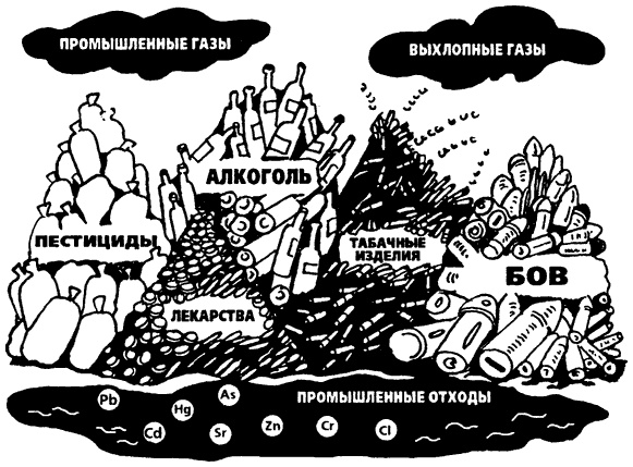 Иллюстрация к книге — Капилляротерапия излечивает 95% болезней [i_006.jpg]