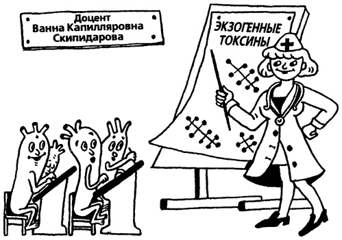 Иллюстрация к книге — Капилляротерапия излечивает 95% болезней [i_007.jpg]