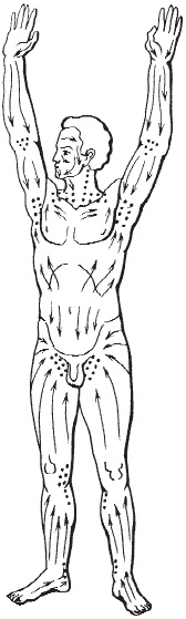 Иллюстрация к книге — Целебный самомассаж для бодрости духа и радости тела [autogen_ebook_id0.jpg]