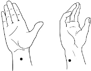 Иллюстрация к книге — Работа с триггерными точками: расслабляем мышцы, избавляемся от боли [_03.jpg]