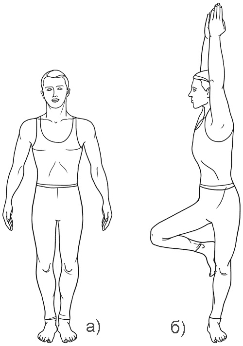 Иллюстрация к книге — Работа с триггерными точками: расслабляем мышцы, избавляемся от боли [_06.jpg]