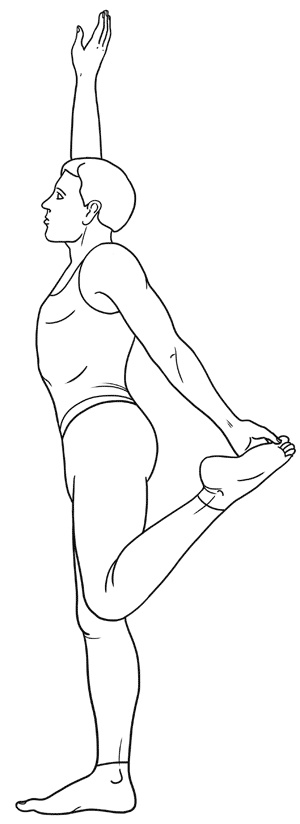 Иллюстрация к книге — Работа с триггерными точками: расслабляем мышцы, избавляемся от боли [_11.jpg]