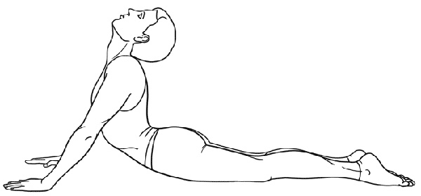 Иллюстрация к книге — Работа с триггерными точками: расслабляем мышцы, избавляемся от боли [_22.jpg]