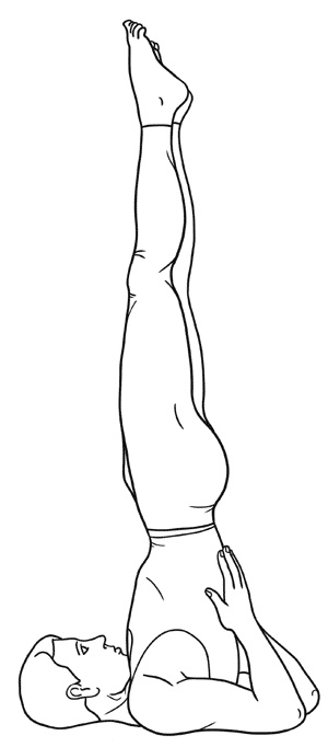 Иллюстрация к книге — Работа с триггерными точками: расслабляем мышцы, избавляемся от боли [_24.jpg]