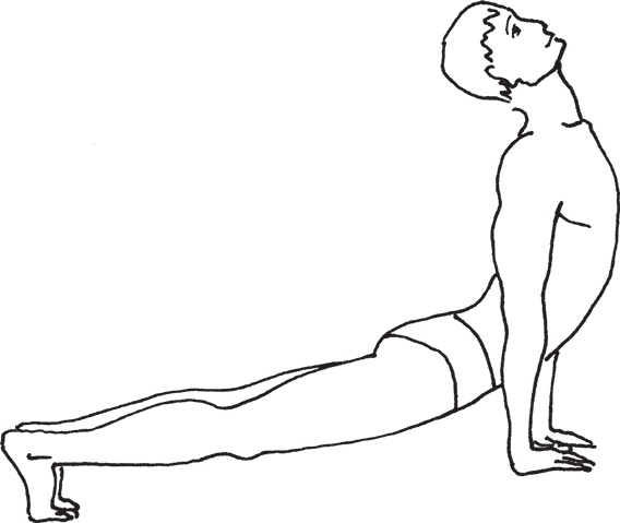 Иллюстрация к книге — Тибетский путь исцеления. Основные приемы [autogen_ebook_id9.jpg]