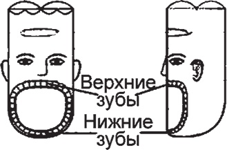 Иллюстрация к книге — Суджок - исцеляющий самомассаж. Основные приемы [autogen_ebook_id15.jpg]