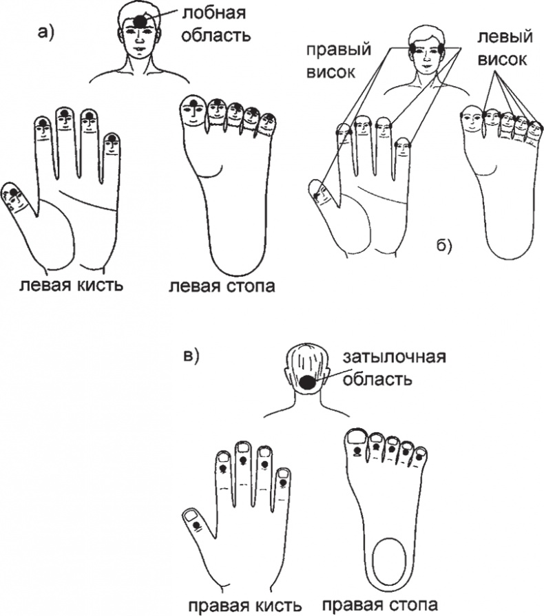 Иллюстрация к книге — Суджок - исцеляющий самомассаж. Основные приемы [autogen_ebook_id16.jpg]