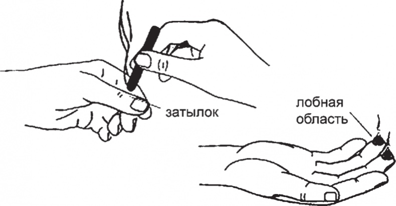 Иллюстрация к книге — Суджок - исцеляющий самомассаж. Основные приемы [autogen_ebook_id19.jpg]