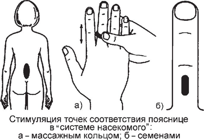 Иллюстрация к книге — Суджок - исцеляющий самомассаж. Основные приемы [autogen_ebook_id55.jpg]