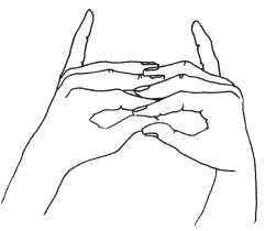 Иллюстрация к книге — Мудры. Мантры. Медитации. Основные практики [i_003.jpg]