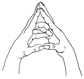 Иллюстрация к книге — Мудры. Мантры. Медитации. Основные практики [i_007.jpg]