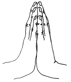 Иллюстрация к книге — Мудры. Мантры. Медитации. Основные практики [i_009.jpg]