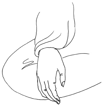 Иллюстрация к книге — Мудры. Мантры. Медитации. Основные практики [i_011.jpg]