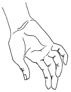 Иллюстрация к книге — Мудры. Мантры. Медитации. Основные практики [i_012.jpg]