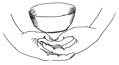 Иллюстрация к книге — Мудры. Мантры. Медитации. Основные практики [i_014.jpg]