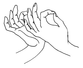 Иллюстрация к книге — Мудры. Мантры. Медитации. Основные практики [i_015.jpg]