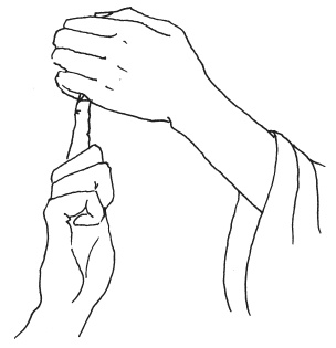 Иллюстрация к книге — Мудры. Мантры. Медитации. Основные практики [i_016.jpg]