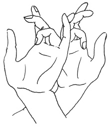 Иллюстрация к книге — Мудры. Мантры. Медитации. Основные практики [i_019.jpg]