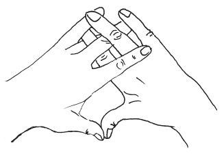 Иллюстрация к книге — Мудры. Мантры. Медитации. Основные практики [i_025.jpg]