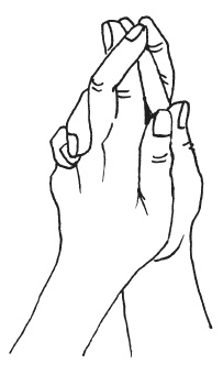 Иллюстрация к книге — Мудры. Мантры. Медитации. Основные практики [i_028.jpg]