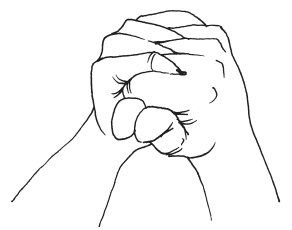 Иллюстрация к книге — Мудры. Мантры. Медитации. Основные практики [i_029.jpg]