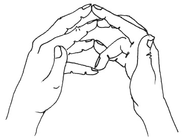 Иллюстрация к книге — Мудры. Мантры. Медитации. Основные практики [i_031.jpg]