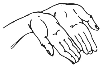 Иллюстрация к книге — Мудры. Мантры. Медитации. Основные практики [i_036.jpg]