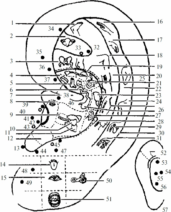 Иллюстрация к книге — Работай над собой! 12 шагов к самовосстановлению [_05.jpg]