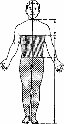 Иллюстрация к книге — Работай над собой! 12 шагов к самовосстановлению [_07.jpg]