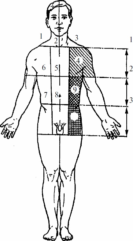 Иллюстрация к книге — Работай над собой! 12 шагов к самовосстановлению [_22.jpg]