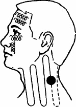 Иллюстрация к книге — Работай над собой! 12 шагов к самовосстановлению [_29.jpg]