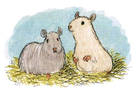 Иллюстрация к книге — Моя счастливая жизнь [i_053.jpg]