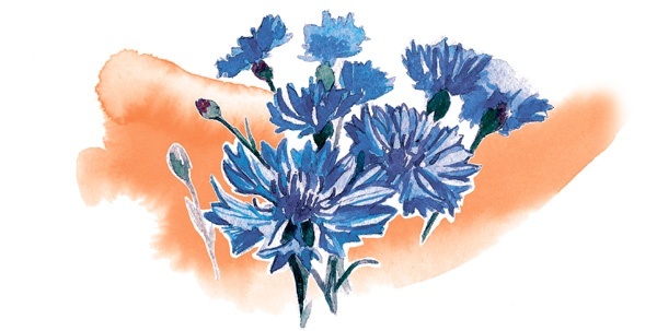 Иллюстрация к книге — Наука красоты. Из чего на самом деле состоит косметика [i_012.jpg]