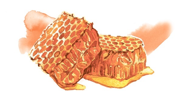 Иллюстрация к книге — Наука красоты. Из чего на самом деле состоит косметика [i_015.jpg]