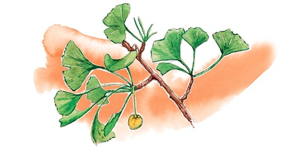 Иллюстрация к книге — Наука красоты. Из чего на самом деле состоит косметика [i_019.jpg]