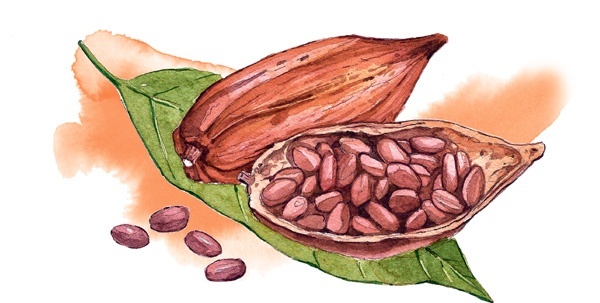 Иллюстрация к книге — Наука красоты. Из чего на самом деле состоит косметика [i_026.jpg]