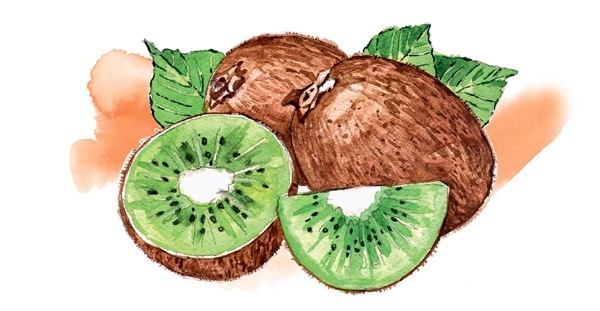 Иллюстрация к книге — Наука красоты. Из чего на самом деле состоит косметика [i_028.jpg]