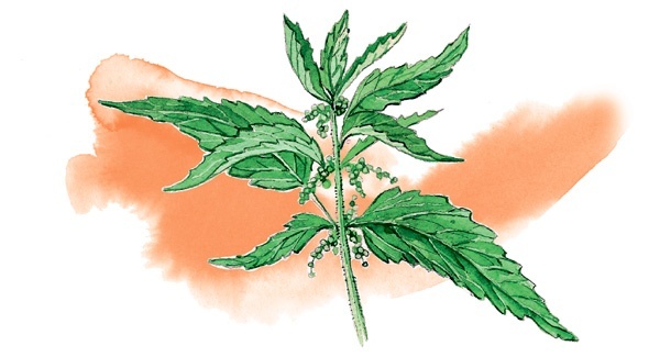 Иллюстрация к книге — Наука красоты. Из чего на самом деле состоит косметика [i_032.jpg]