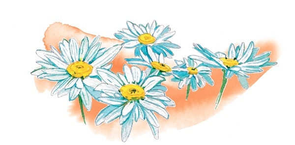 Иллюстрация к книге — Наука красоты. Из чего на самом деле состоит косметика [i_053.jpg]