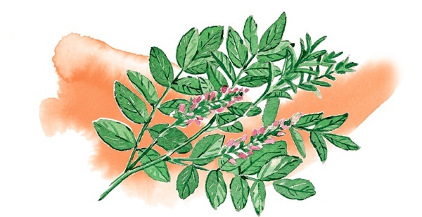 Иллюстрация к книге — Наука красоты. Из чего на самом деле состоит косметика [i_055.jpg]