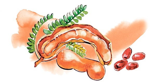 Иллюстрация к книге — Наука красоты. Из чего на самом деле состоит косметика [i_057.jpg]