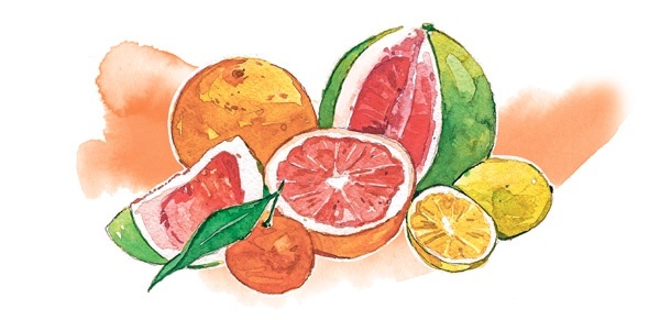 Иллюстрация к книге — Наука красоты. Из чего на самом деле состоит косметика [i_062.jpg]