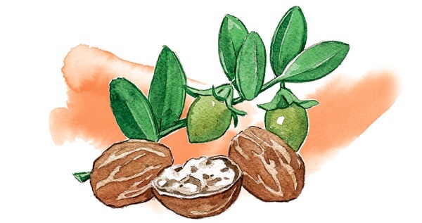 Иллюстрация к книге — Наука красоты. Из чего на самом деле состоит косметика [i_067.jpg]