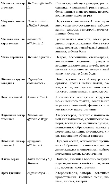 Иллюстрация к книге — Лечебные чаи, сборы, настои [img_19.jpg]