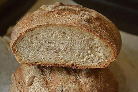 Иллюстрация к книге — Лечение козьим молоком [i_001.jpg]