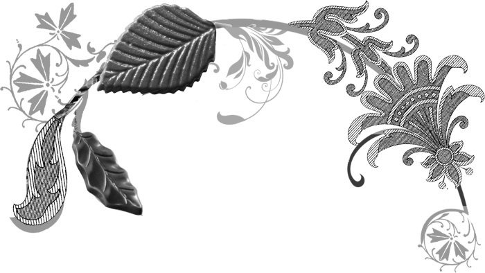 Иллюстрация к книге — Шоколадная диета и косметика [i_001.jpg]