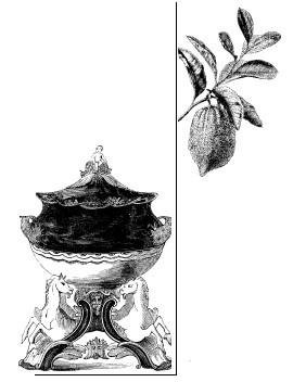 Иллюстрация к книге — Шоколадная диета и косметика [i_017.jpg]