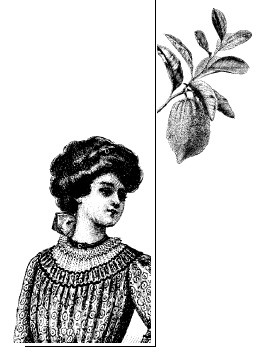 Иллюстрация к книге — Шоколадная диета и косметика [i_097.jpg]