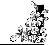 Иллюстрация к книге — Шоколадная диета и косметика [i_115.jpg]